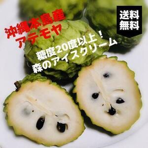 Sweet melting!Okinawan Atemoya Omakase (sweet Jeffner type) 1kg Limited quantity!