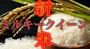 ★ Milky Queen from Yamaguchi Prefecture New rice 30kg White rice Low Pesticide Ordinance 4th year unattured rice ★