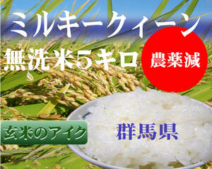 Milky Queen No Washing Rice 5kg ★ Rice Togi No requiredGunma Prefecture directly low -pesticide