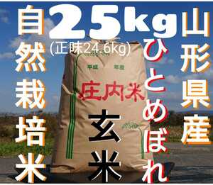 Natural cultivated rice pesticide -free ice temperature ripening Hitomeboe 4 years produced in Yamagata Prefecture Shonai rice brown rice 25kg (net 24.6kg)