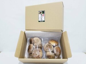 Gyoda's specialty mushroom mushrooms (large size) about 1040g (1.4kg)
