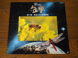 LD ♪ NHK Special Life, 4 billion years of travel ♪ 7th Insects Information Strategy