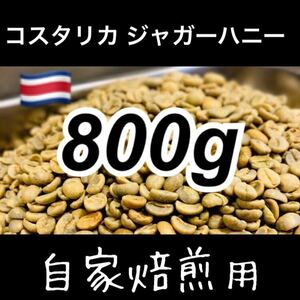 Costa Rica Jaguar Honey Beans 800g Specialty Coffee Beans