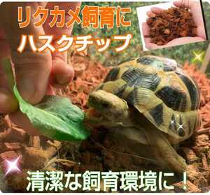This is the best tortoise floor material! High quality hus tight ☆ 5 liters bags carefully selected high quality natural materials 100 % ventilation and water retention create a clean environment