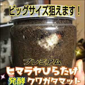 For those who want to breed stag beetle larvae! It has evolved! Special Premium 3rd Fermented Mat ☆ Symbiotic bacteria 3 times Trehalose / Special amino acid enhancement