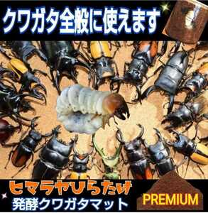 For those who want to breed stag beetle larvae! It has evolved! Special Premium 3rd Fermented Mat ☆ Contains 3x symbiotic bacteria! Trehalose / Special amino acid enhancement