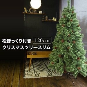 Christmas tree 120cm Slim Type Matsuwak with pine cones Matsukasa tree real wood decoration Nordic nude tree