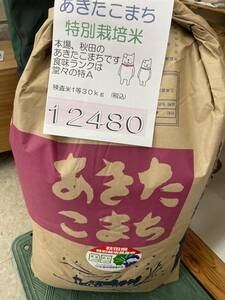 25kg Ordinance 4th year, Akita Village, Akita Prefecture Akitakomachi Inspection Rice 1 -class rice (white rice) 25 km (10.05 kg x 2, 5.05 kg) ☆ Free shipping ☆ Special cultivated rice 2022!