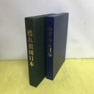 Working in Japan Revived in Japan 2 books set Gorgeous Price 60,000 yen Economic policy social gathering