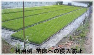 ★ Used glue nets ★18m ×1.6m×10 sheets ★ Bird and beast damage prevention net Japan Published in ★ agricultural newspaperDeer accident preventionDeer ★ avoidance ★ deer controlNetDeer ★ invasion ★ prevention ★ ★