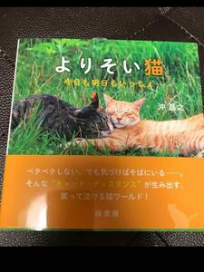 More Cat Today and tomorrow, Masayuki Oki / Photo Kumiko Noguchi / Sentence