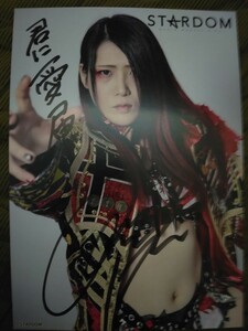 Women's Professional Wrestling Stardam Commercially Signed Hayashita Signed Portrait Portrait