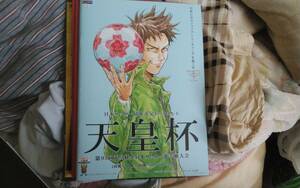 ★ The 95th Emperor's Cup All Japan Soccer Championship Program (1st to 4th round) 2015 ★