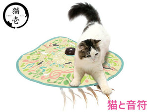 Cat Ichi Catch Me If You Can 2 Cats and Cat Cat A Cat Automatic Cat Play