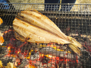 Striped chicken open 5L 15 tails 1 tail 430-480g hokke hockey hockey striped striped striped hockey hockey open dried fish shimahokke [fisheries food]
