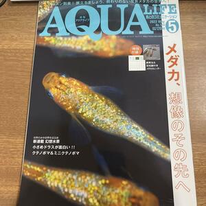 Monthly Aqua Life May 2022 Medaka, Beyond the imagination/shipping fee 200 yen