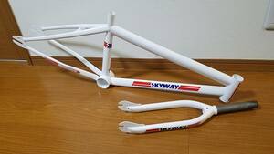 ★ NOS Skyway T/A 25th Anniversary Frame &amp; Folk Unused New ★ Inspection) OLD BMX Skyway Profile Redline Oakley
