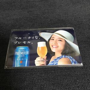 [Not for sale] [Unopened] Satomi Ishihara Premium Maltz Magnet
