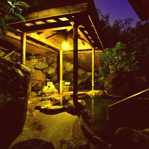Shipping included ★ Beppu Onsen Toyoizumi -so accommodation discount coupon (3,000 yen) ☆ Expired until June 30, 2024