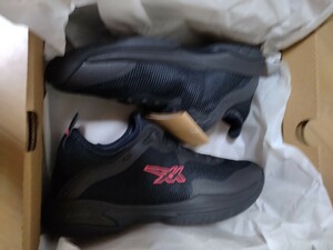 ASICS Basketball Shoes Glydnova FF3 Bola Holic 24.5cm