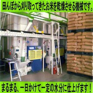 Genwa 5th year Aichi Aichi Milky Queen Changed from 30kg to white rice from 30kg to white rice [Free shipping / first quality]