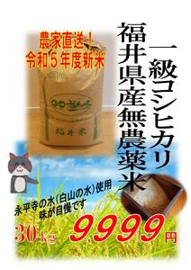 [Landswa 5th year new rice] Pesticide -free Fukui Prefecture 1st grade Koshihikari ★ Approximately 30kg Brown rice ★ Eco Farmer Certification