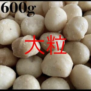 Large grain macadamia nut 600g unglazed unglazed and healthy beauty free shipping Nuts emergency food