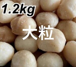 [Large grains] Macadamia nut 1.2kg unglazed unglazed without salt -free nuts