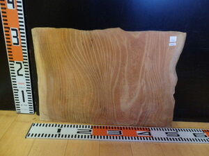 3080222 ● 30.5cm × 47cm × 1.2cm Keyaki ☆ 1 solid plate board wood board DIY plate shelf board table There are many kinds!