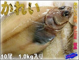 Hanama Product "One -night dried curry 1kg" Sanin Sakaiminato ASK lucky bag translation