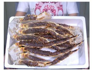 [Free Shipping] Special 5L size raw king crab 3kg (2.5-3 shoulders)