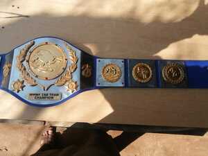 High quality including overseas shipping WWWF 82 'TAG TEAM Professional wrestling champion belt replica case