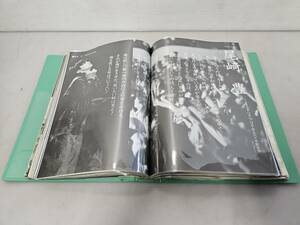 Wakabayashi -ku, Sendai -at the time, rare eye -tems super beautiful goods! /Ozaki Yutaka Series Magazine Cleans Lots of cutouts! Approximately 500 pages of files/good items/collection!