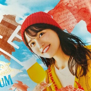 [Not for sale] The latest Haruna Kawaguchi Poster fragrant Ale Japoneys Ale Suntory unused