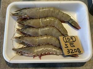 [Wakayama] Natural feet red shrimp (5 for 5 animals) frozen 109