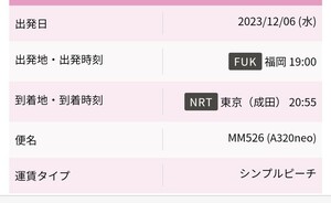December 6th from Fukuoka to Narita PEACH ticket