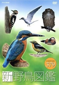 Shinno Bird Picture Book DVD -BOX / (Hobbies / Liberal Arts)