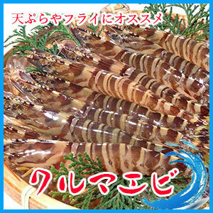 Limited time special price active car shrimp 1kg (about 60 animals) Shrimp shrimp