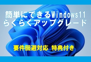 Requirement avoidance correspondence ■ Easy Windows11 Easy Atsu Gurd * 2 discs with 2 discs
