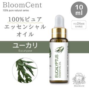 100% Pure Natural Essential Oil Eucalyptus Eucalyptus Aroma