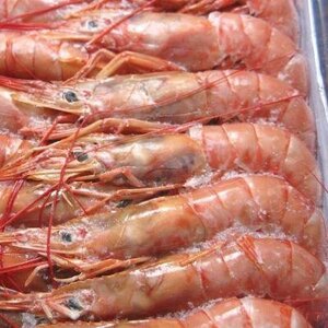 [Sea shelves immediately] Argentina red shrimp 2kg