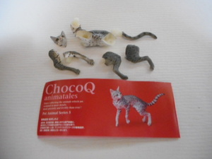 Choco Q Pet Animal ☆ 5th ☆ Oriental Short Hair (Silver) ☆ 134