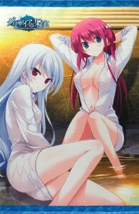 Grisaia's first fruit limited edition Toranoana limited all -volume purchase Benefits drawn down B2 tapestry Kazami Ichihime Amane Y -shirt Used cloth poster