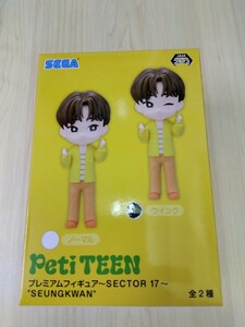 SEVENTEEN PETITEEN Premium Figure SECTOR17 SEUNGKWAN Sung Wink unused item