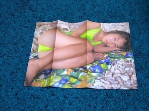 Michiyo Nakajima/Wayland ☆ Pinup Poster Playboy Brushing Appendix