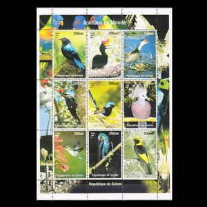 ■ Guinea stamp birds / 9 kinds of tropical birds