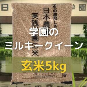 Milky Queen 5kg Brown rice Order made with an agricultural school student 5 years