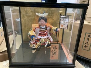 02-16-754 ♪ G [Payment or cash on delivery] Japanese doll May puppet dolls children's day dolls Momotaro Glass case Interior Glass case Unused