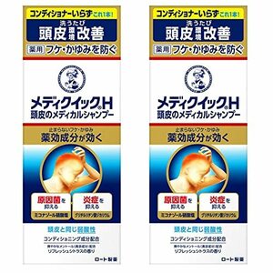 Medical H dandruff / Itching scalp environment improvement Medical Shampoo 2P (quasi -drug)