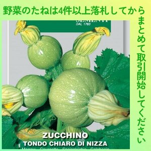 4 or more successful bids ◆ Zucchini species ◆ Maruzukini Tonda 3 tablets